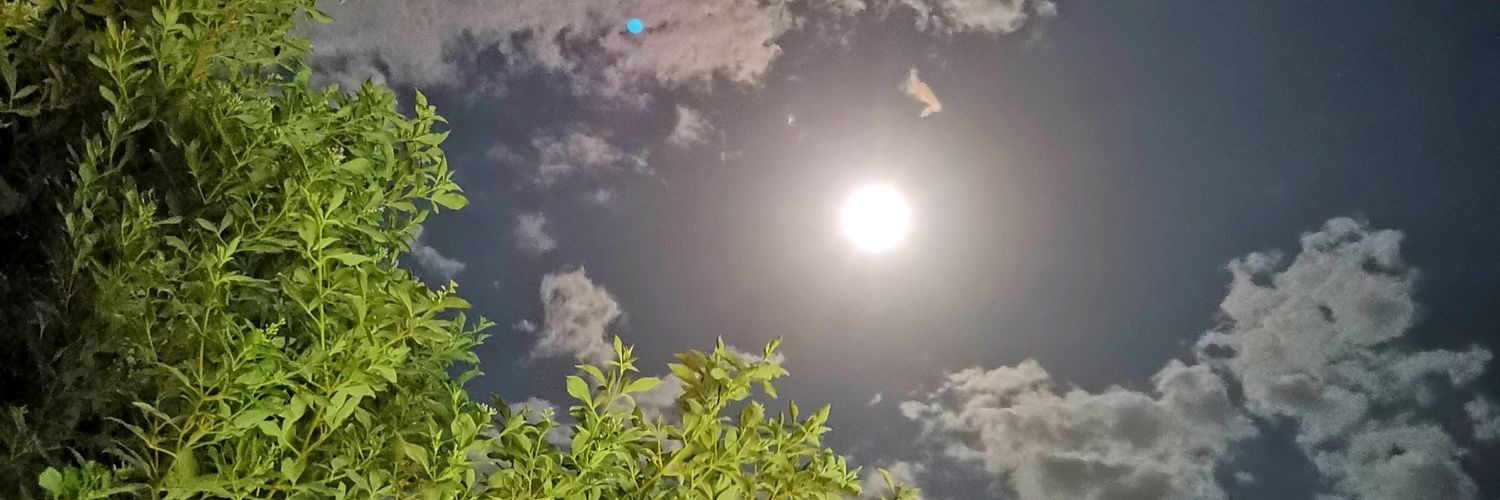 aseeem202038's profile banner image