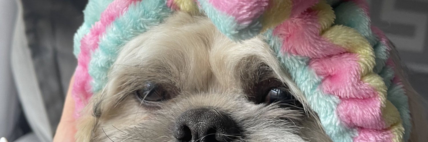 donnabloo's profile banner image
