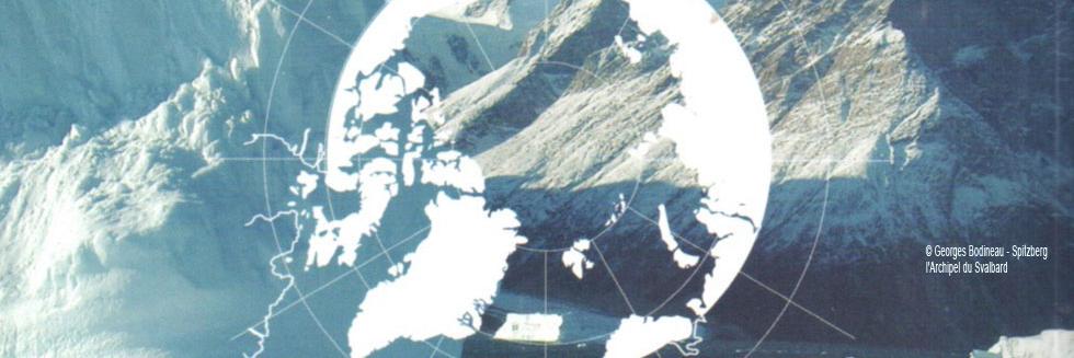arcticboreal's profile banner image