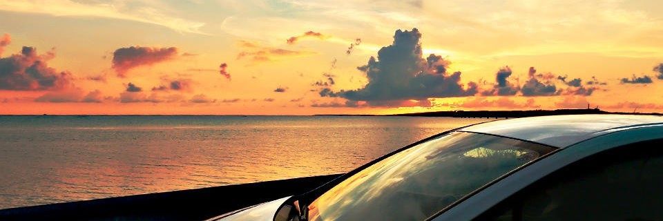 ophseixas_'s profile banner image