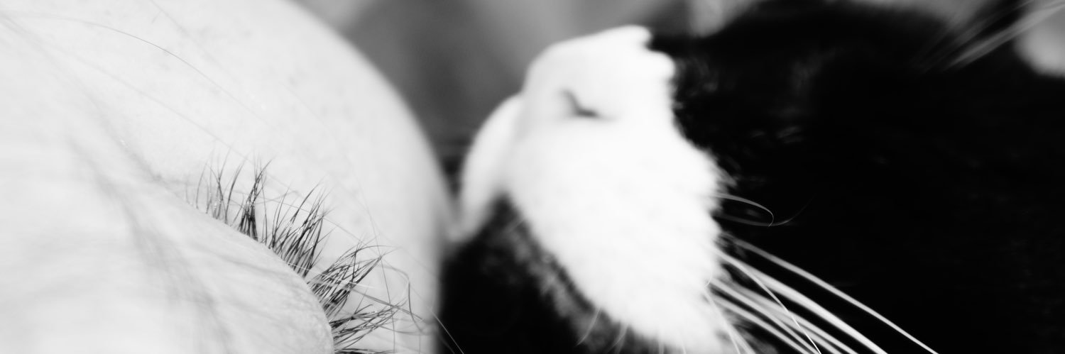 lo_annou's profile banner image