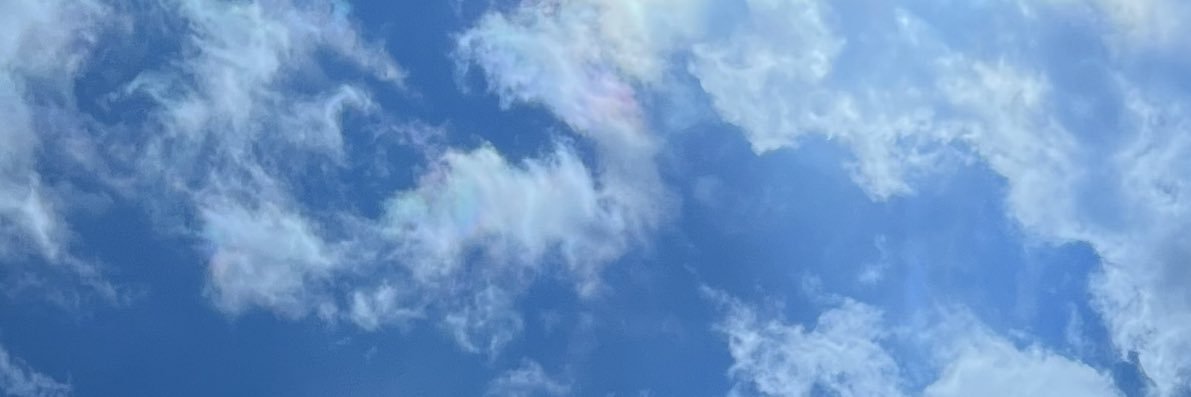 montecologne's profile banner image