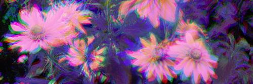 _kaitlynelane's profile banner image
