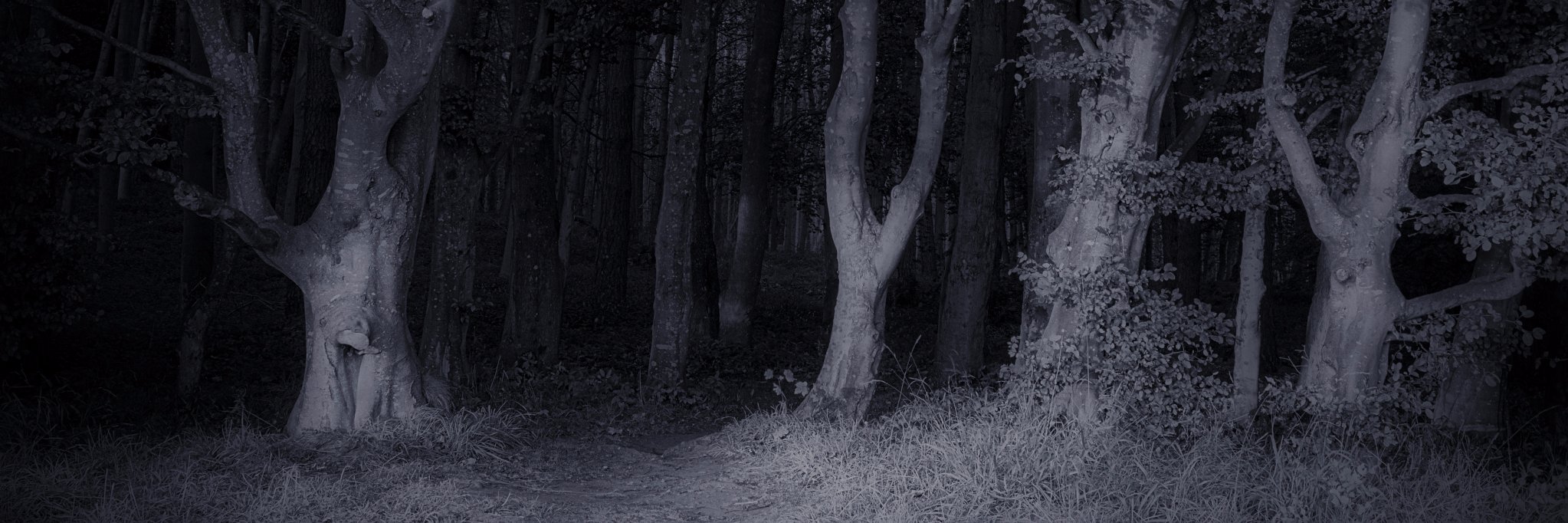 SunlessPlanet's profile banner image