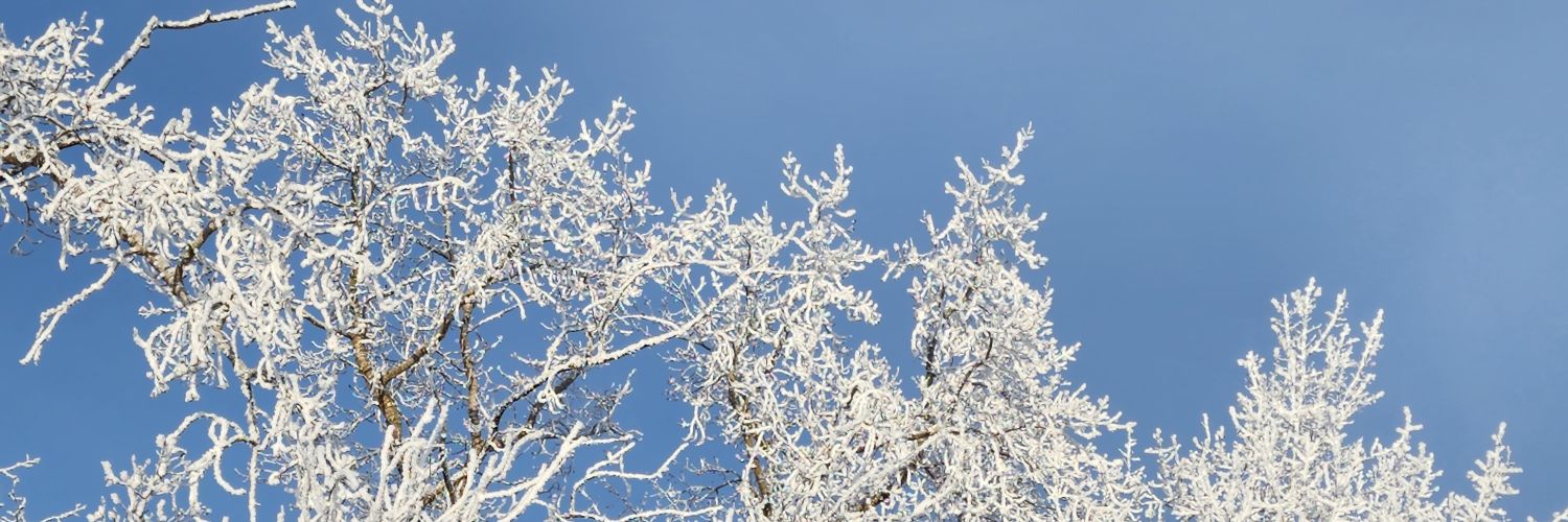 tscorah4's profile banner image