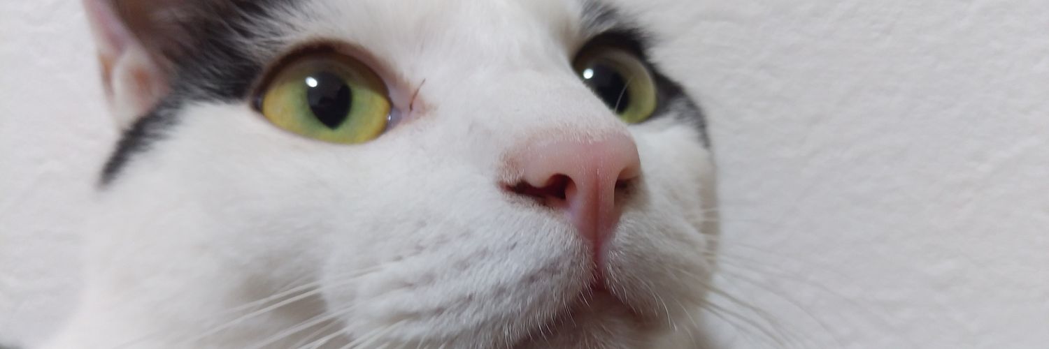 0803Mkr's profile banner image