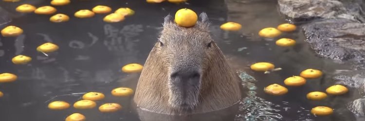 mdrgui's profile banner image
