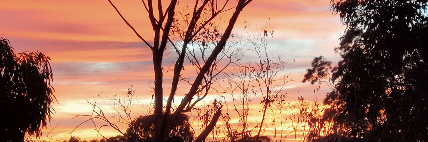 Daniel_bampton's profile banner image