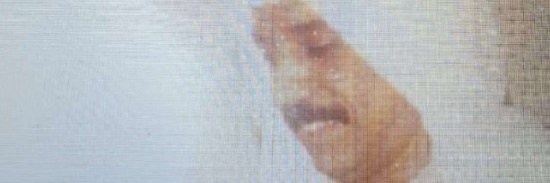 bmalroudhan's profile banner image