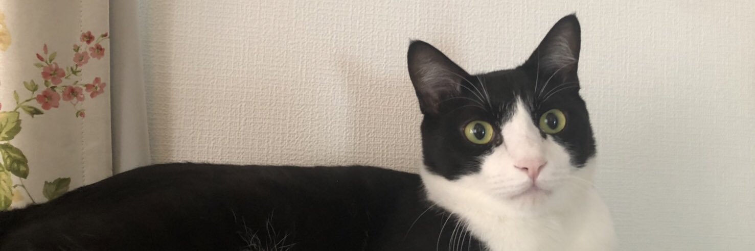 WBKcppZun0nnX2a's profile banner image