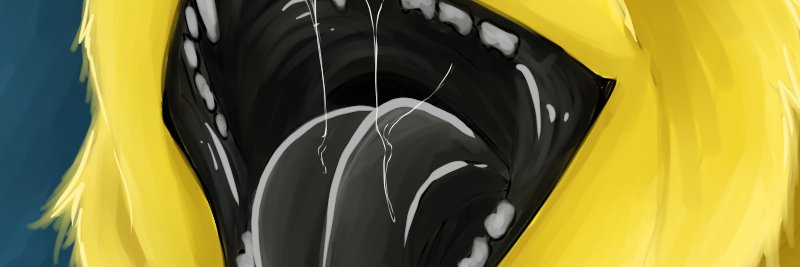 Liericwolffe's profile banner image