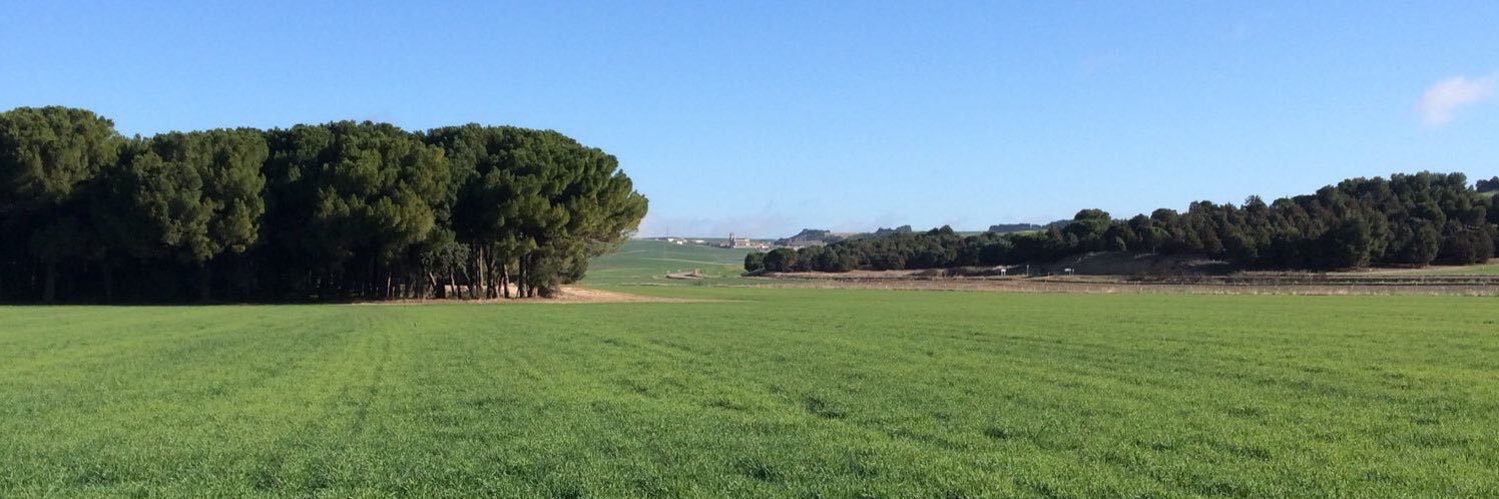 Urcacyl. Cooperativas agroalimentarias CyL banner