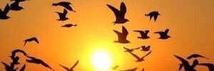 q8tyah39's profile banner image