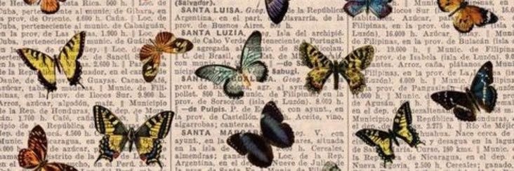 𝘑𝘦𝘯𝘯𝘪𝘧𝘦𝘳 𝘑𝘢𝘳𝘦𝘢𝘶 banner