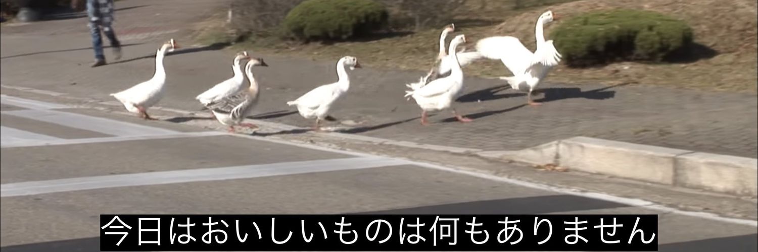 _dango3's profile banner image