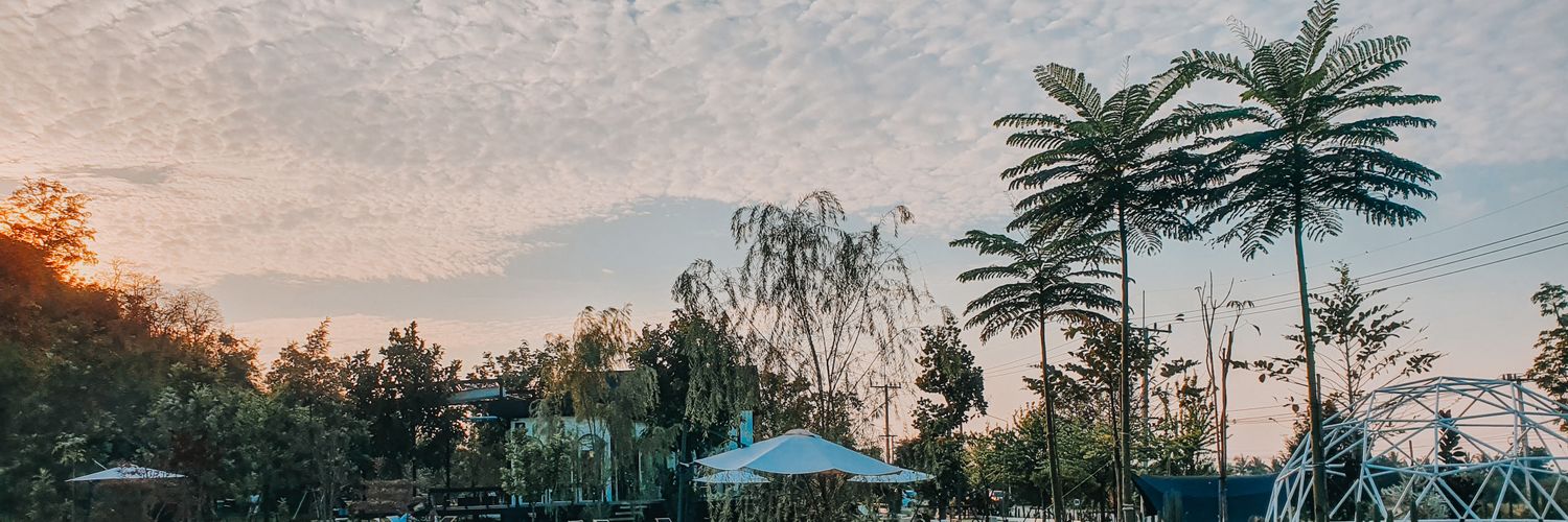 _seng's profile banner image