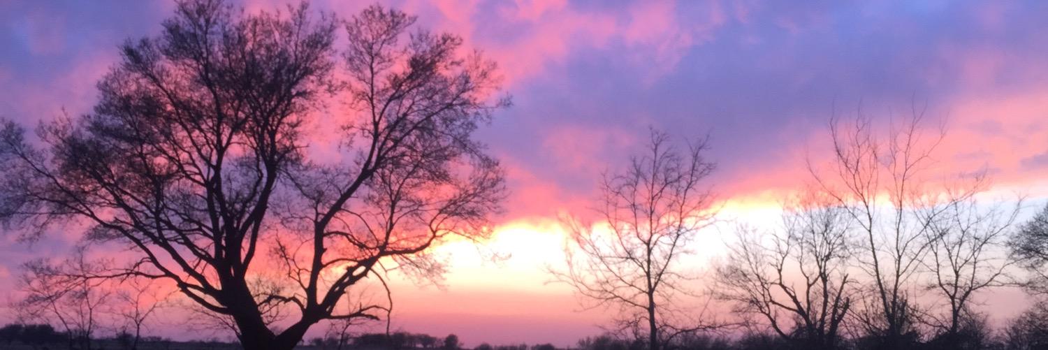 meggerlu's profile banner image
