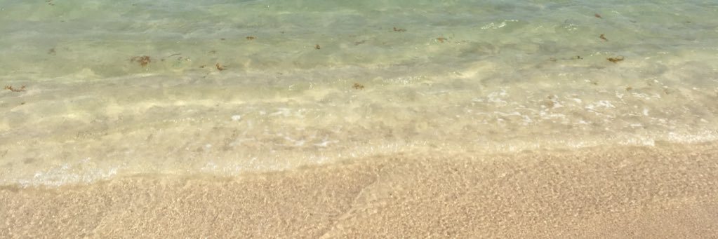 TeCkDeM's profile banner image