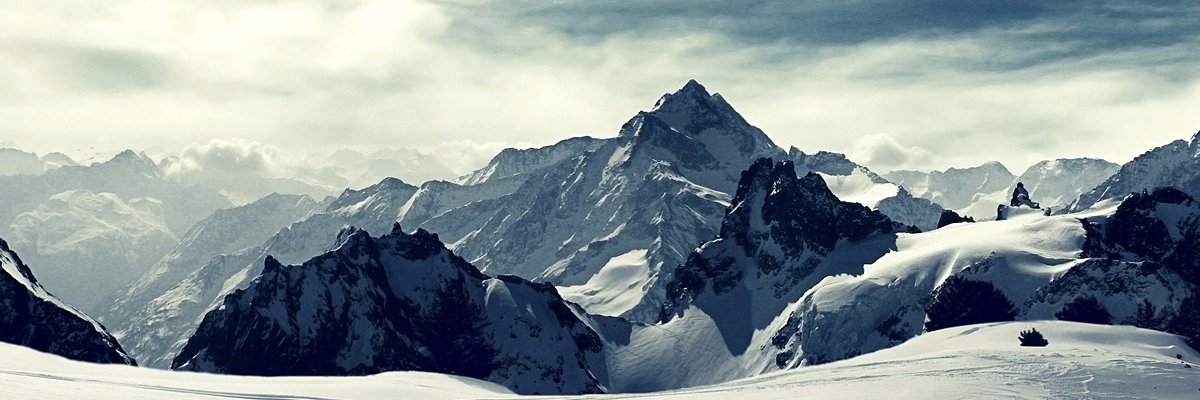 Blue Bear Capital banner