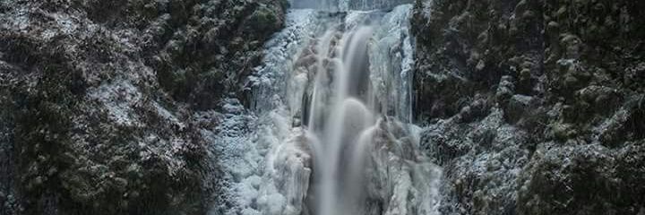 💚🧊🍀Trip🍀🧊💚 banner