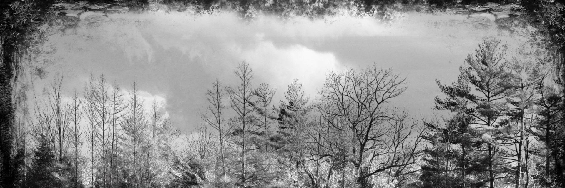 bltr135's profile banner image