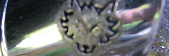 leckuth's profile banner image
