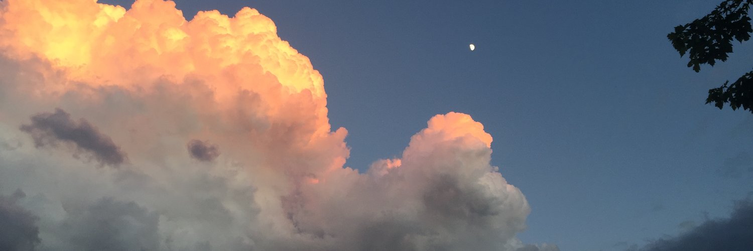 StacyRecalla's profile banner image