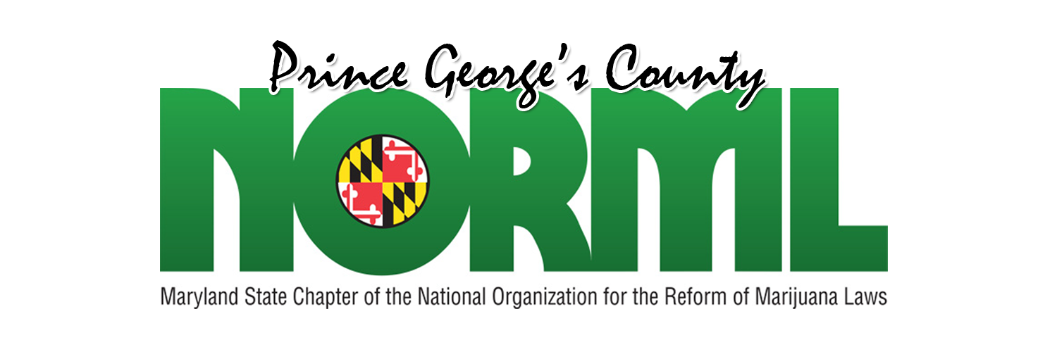 pgnorml's profile banner image
