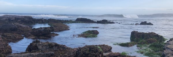 _natashagarner Profile Banner