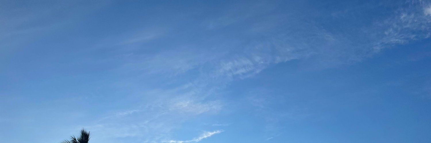 Lunaoneg's profile banner image