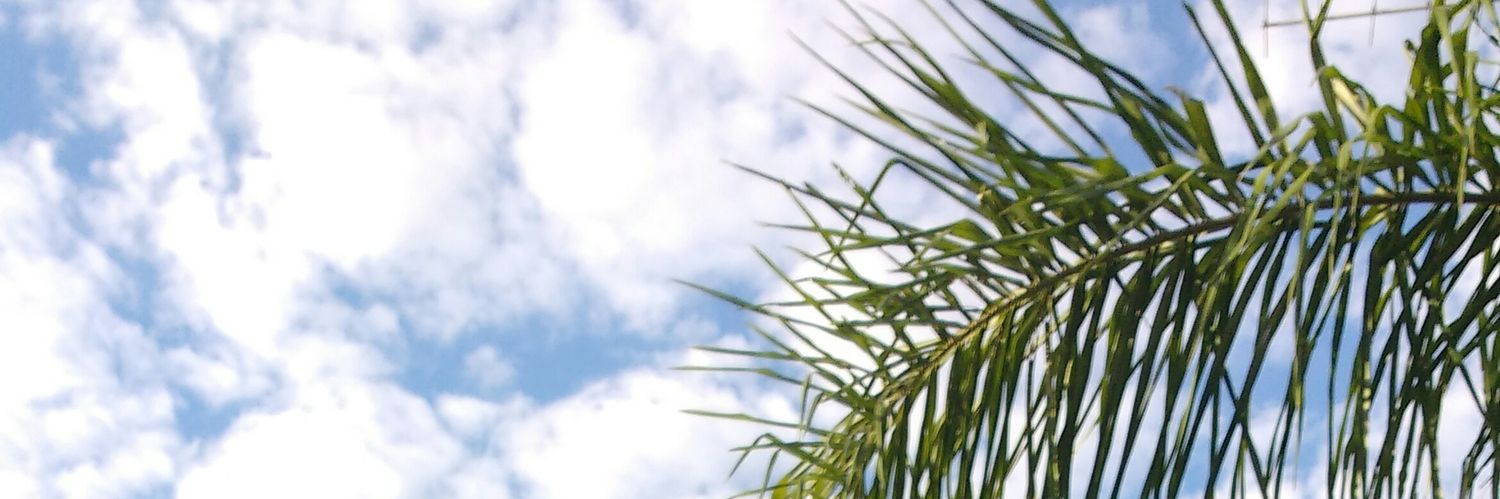 SerroelsMm's profile banner image