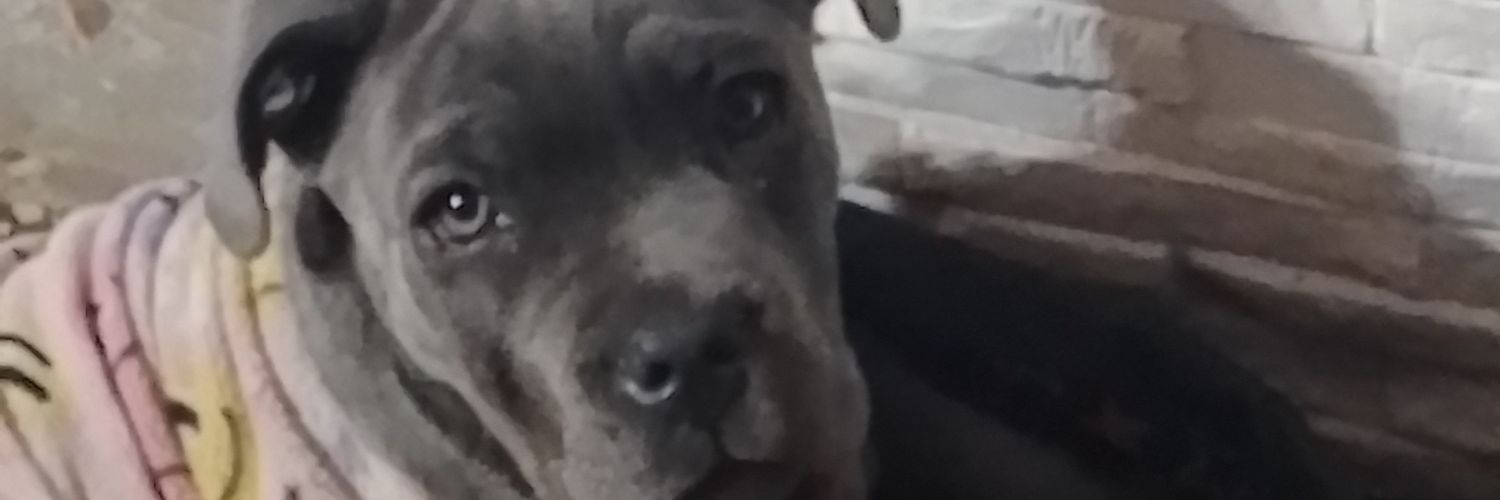 caaaaaami666's profile banner image