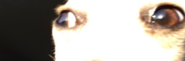 invixon's profile banner image
