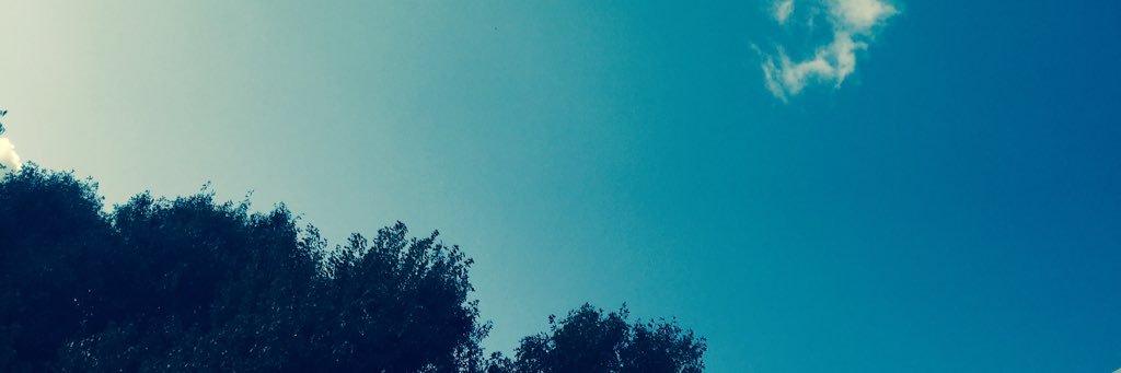 sleepyt_bear0's profile banner image