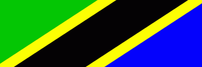 CurateTZA banner