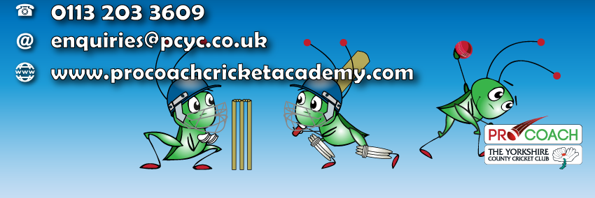 jnrcrickets's profile banner image