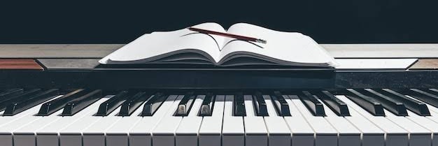 MidiadaCosta2's profile banner image