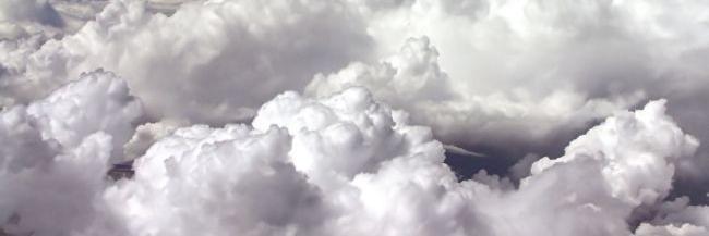 martagalce's profile banner image
