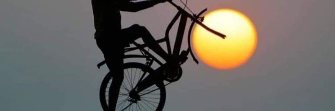 Rustling Bushes banner