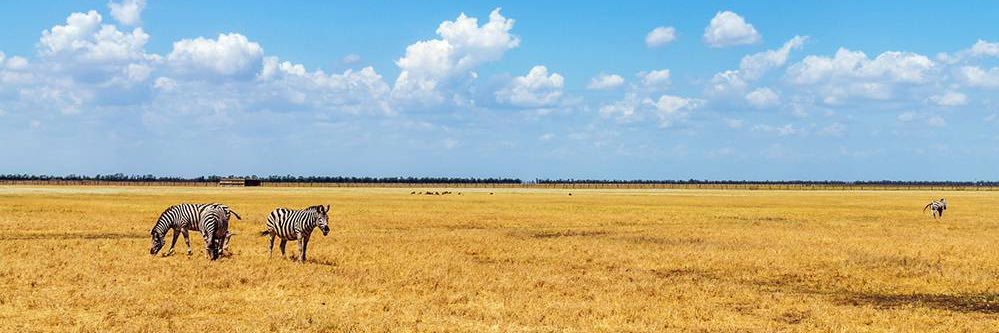 Serg Dort 🇺🇦 banner