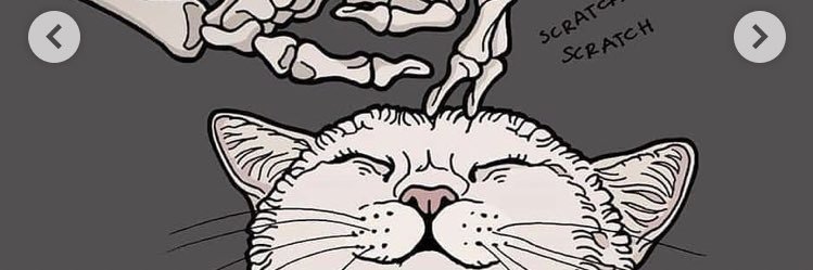 NerCarper's profile banner image
