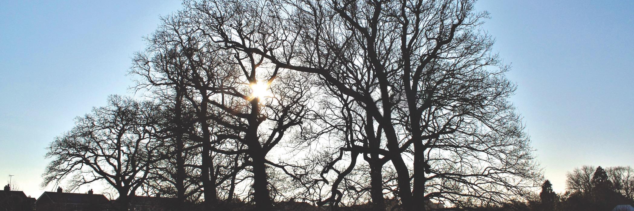 Rather Be In Deeping banner