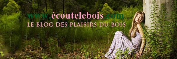 EcouteLeBois's profile banner image