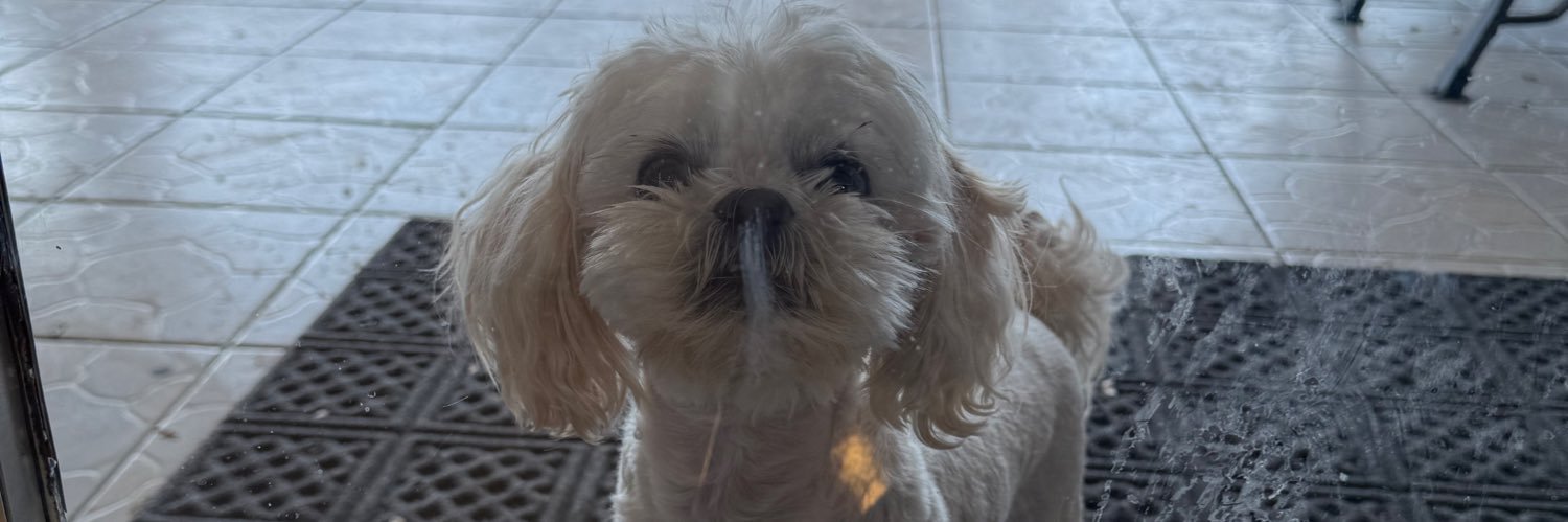 _melanyo_'s profile banner image