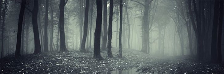 ADanielGGomez's profile banner image