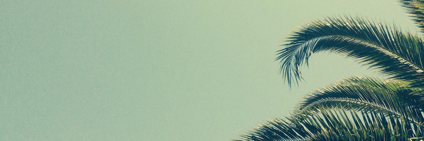 Hummingbird Digital banner