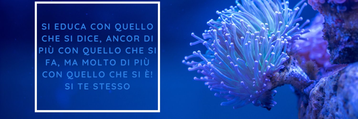 umbertocadipe's profile banner image