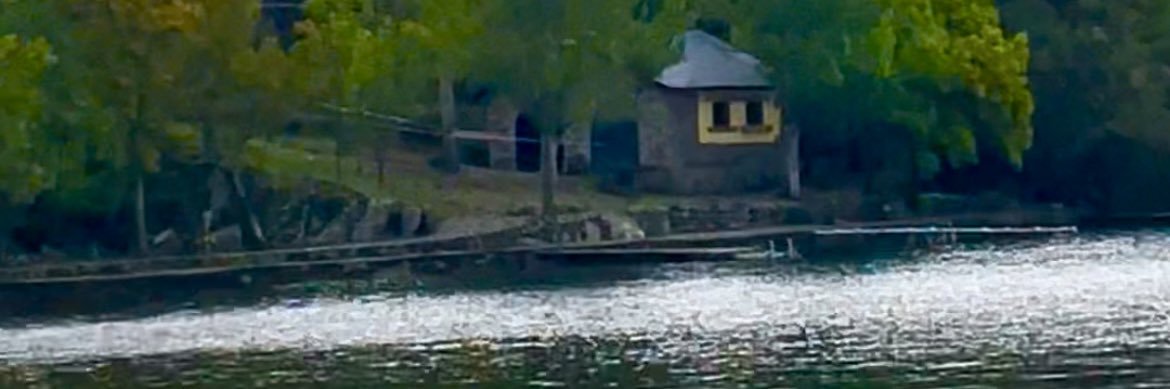 Primavera🌸 banner