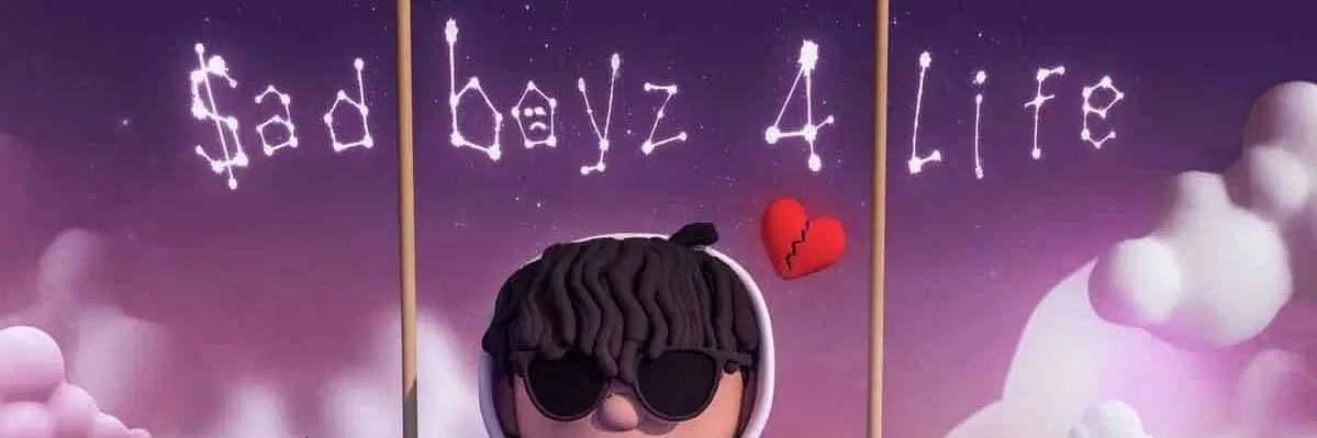 Stevie boy banner