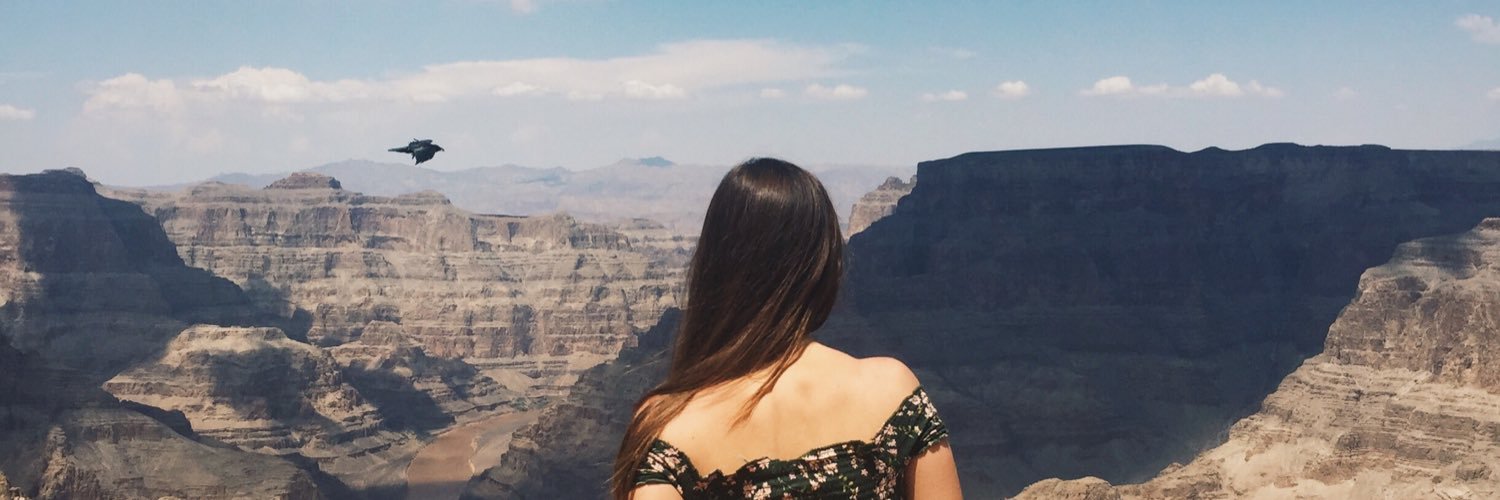 gwengreenhalgh's profile banner image